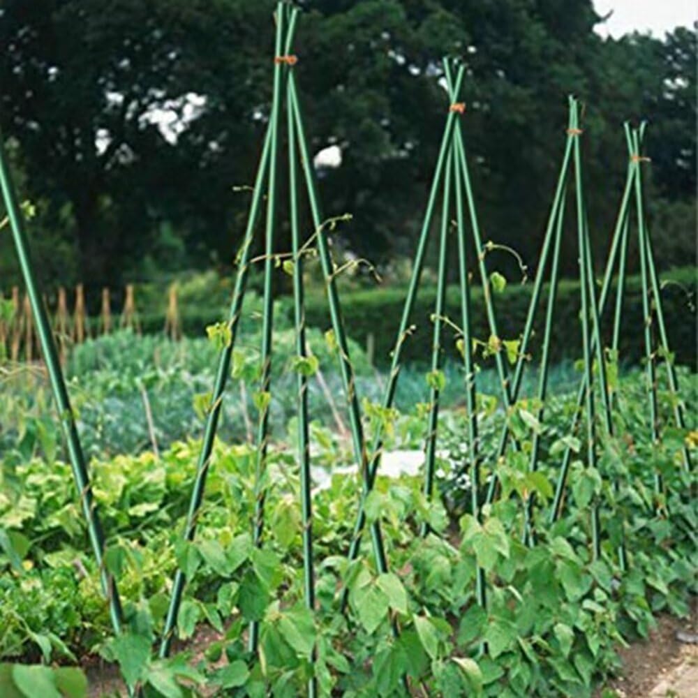 Growsun 5ft Garden Stakes Plant Cage Supports Tomato Trellis Climbing Metal w/Plastic Coated, Pack of 50