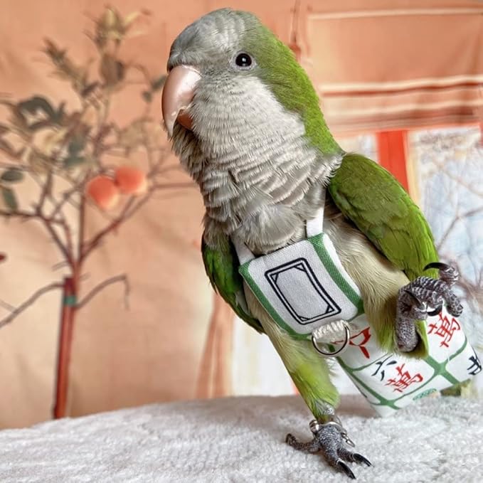 Bird Diaper Harness Flight Suit Clothes, Parrot Flight Suit with Leash for Parrot, Bird Flying Clothes with Rope and Handle for Outdoor Activities Training (with Leash,Caique)