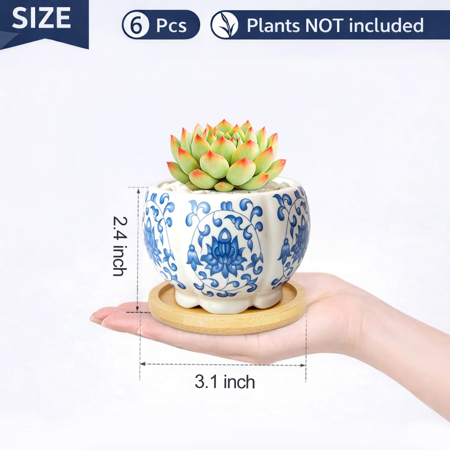 celamos Succulent Pots 6 Pack, Small Flower Pots with Drainage Bamboo Tray, 3.1 Inch Succulent Pots for Indoor Plants, Cactus Pots and Planters, Decorative Small Pots for Home Office