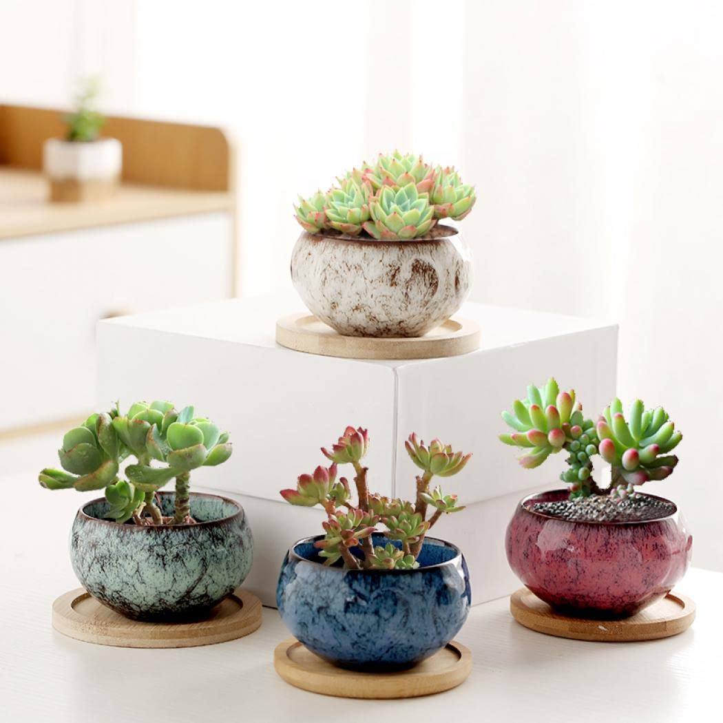 YYW Ceramic Plants Pots 3 Inch Set of 4 Flower Pots with Drainage and Bamboo Tray for Indoor/Outdoor Small House Plants,Foliage Plant (Set 1)