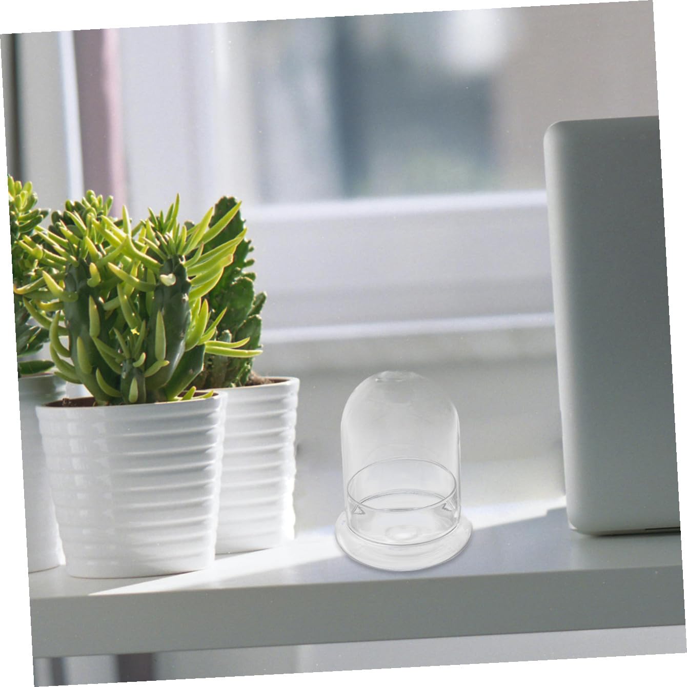 OUNONA Moss Ecosystem Bottle DIY Miniature Terrarium Glass Bottle Decorative Plant Vase for Home and Office Desktop Plant Container