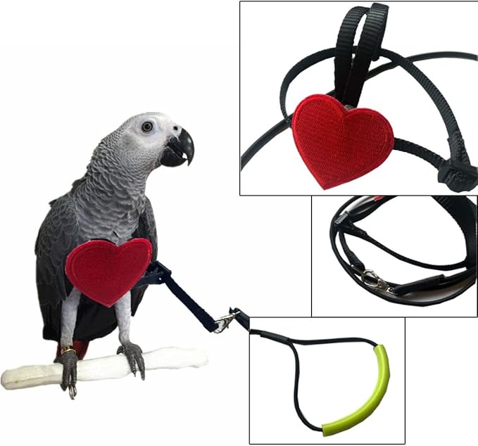 Adjustable Birds Harness and Leash Parrot Harness Leash Training Supplies Pet Anti-bite Outdoor Flying Rope for Conures Budgerigar Lovebird Cockatiel Mynah (S)