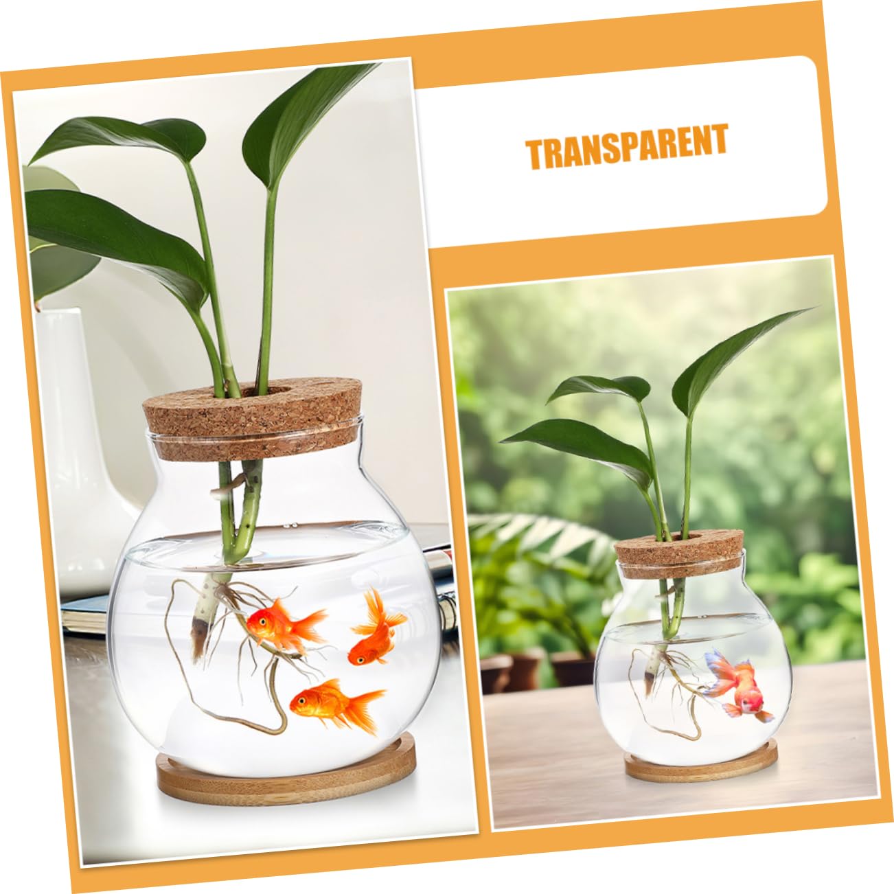 Kisangel Hydroponic Glass Vase Wooden Base for Indoor Plant Propagation Desktop Terrarium for Flower Arrangements and Root Growth Display