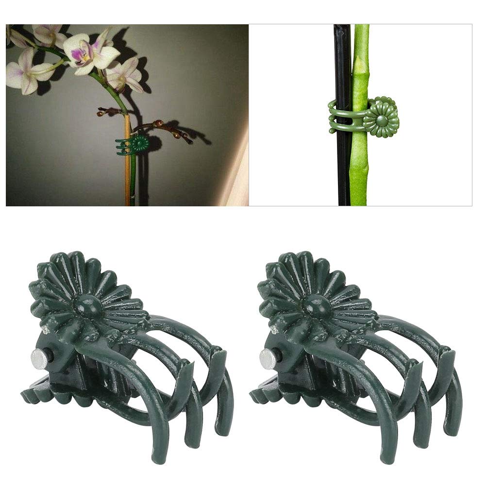 Fdit 200Pcs Plant Clips Orchid Clips Flower Shaped Plant Clip Orchid Stems Fixing Support Supporting Stems Vines to Grow (Green)