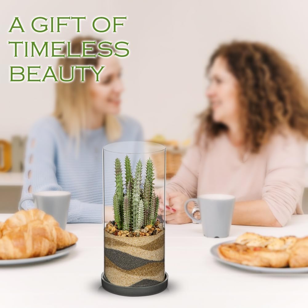 GnFlus Artificial Succulent in Cylindrical Glass Vase Fake Cactus Plant with Modern Glass Terrarium for Home Decor Farmhouse Hostess Gift