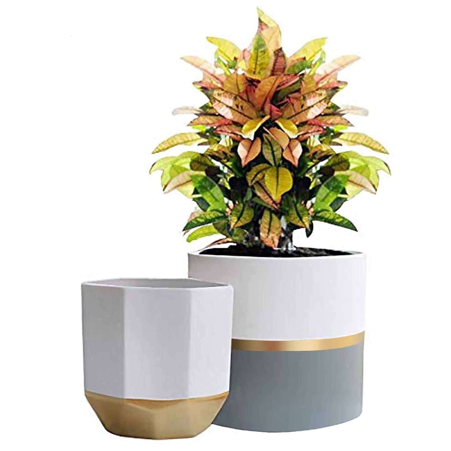 LA Jolie Muse White Ceramic Flower Pot Garden Planters 6.7 Inch Pack 2 Indoor Plant Containers with Gold and Grey Detailing