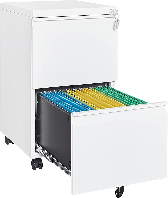 Letaya 2 Drawer Mobile File Cabinet
