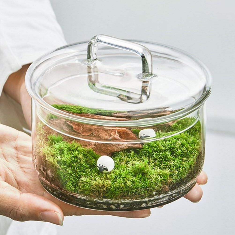 Baluue Creative Jar with Lid Glass Plant Terrarium with Lid Round Fish Bowl Air Planter Bulb Succulent Pot Vase Micro Landscape Bottle for Tabletop Decoration Bud Vases