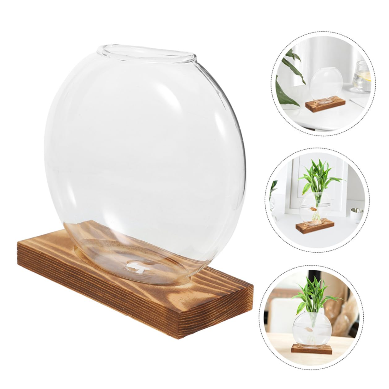 NULYLU 2Pcs Glass Plant Propagation Vases with Wooden Base, Hydroponic Terrarium Containers for Indoor Plants, Desktop Flower Vase Decor for Home and Office