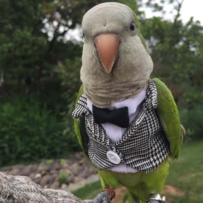 Bird Clothes Birds Flight Suit,Tuxedo Business Suit for Parrots African Greys Parakeet Cockatiel Sun Conure Christmas Party Birthday Cosplay Photo Prop Small Animals Apparel (L,Grid Suit)