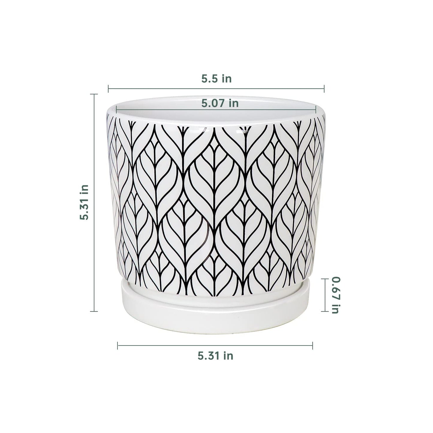 Ton Sin Plant Pots,5.5 Inch White Pots for Indoor Plants with Drainage Holes,Cylinder Flower Pot Ceramic Planters with Saucer,Cactus Succulent Outdoor Garden Pots Set of 4