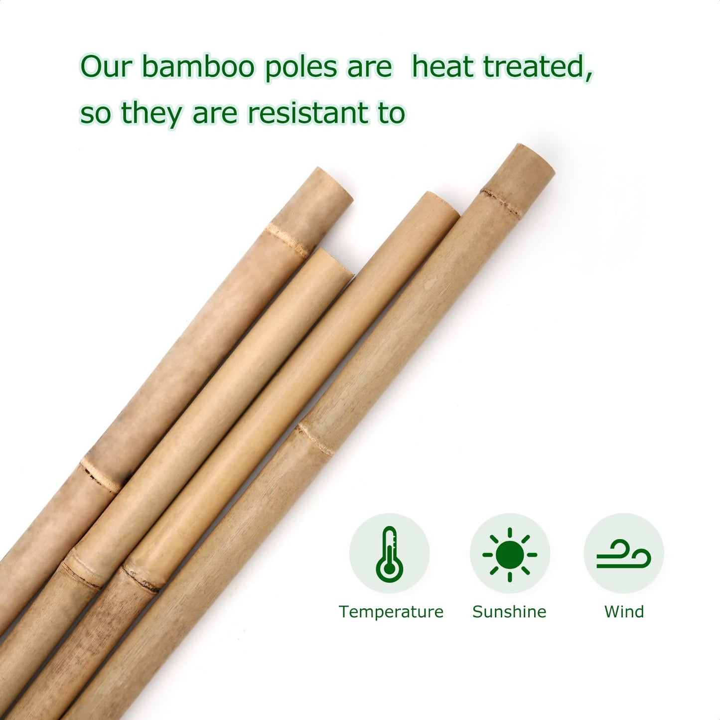 Cambaverd Bamboo Stakes 8 Feet, Diameter of 1 Inch Thicker Garden Stakes, Natural Plant Stakes for Tomatoes, Cucumbers, Grape Vine Climbing Plants Support and Natural Decoration - 10 Pack Bamboo Poles