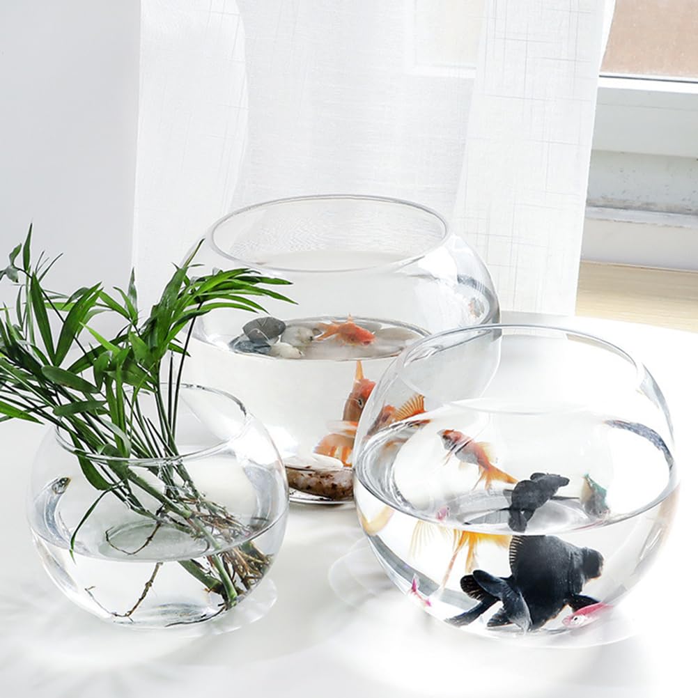 Luxshiny 2Pcs Clear Glass Vase Container 4 Inch Round Hydroponic Plant Holder Decorative Desktop Flower Pot for Home Office Hotel