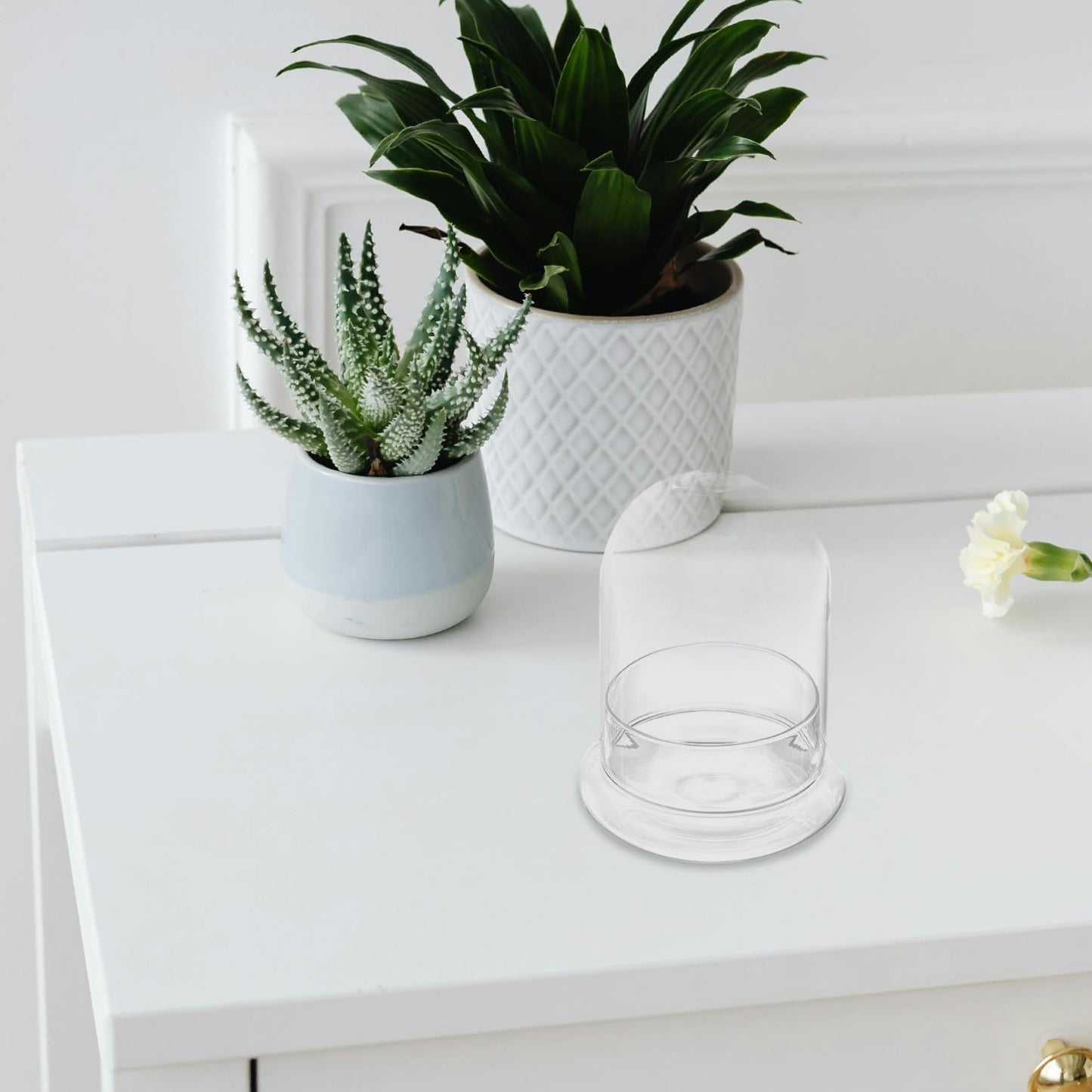 SAFIGLE Glass Plant Terrarium Eco Bottle DIY Moss Jar Home Decor Study Room Accessory
