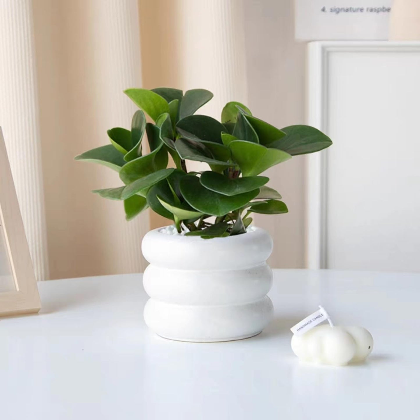 SANDYBAYTAS Ceramic Plant Pot Indoor, 4.5 Inch Flower Pot with Drainage Hole, Small Bubble Design Ceramic Planter for Home & Office Decor (White)