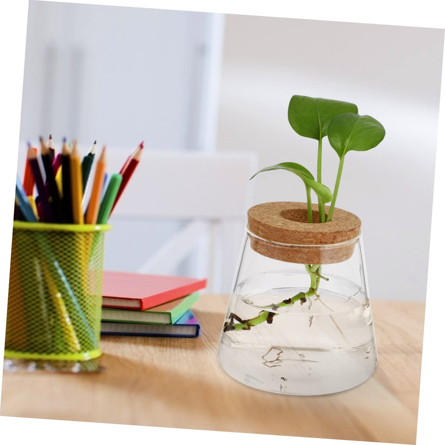 Cabilock 2Pcs Glass Terrarium Vases for Hydroponic Plants Stylish Desktop Planter for Home Office Decor Design for Floral Arrangements Present Ideas Opening