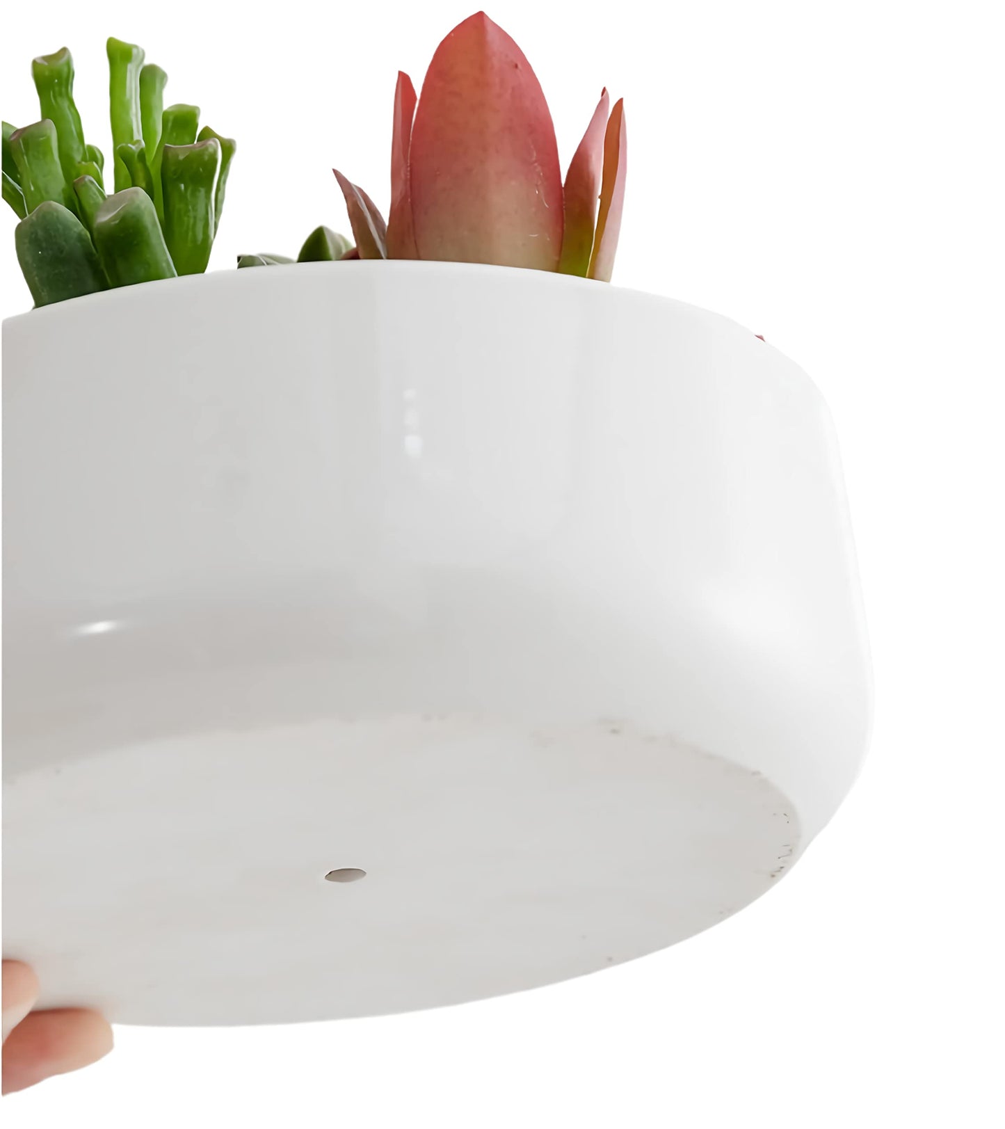 SJBAG Cute Circular Ceramic Home Garden Decoration Succulent Cactus Flower Pots Container with Tray -Plant Not Included (6 Inch White)