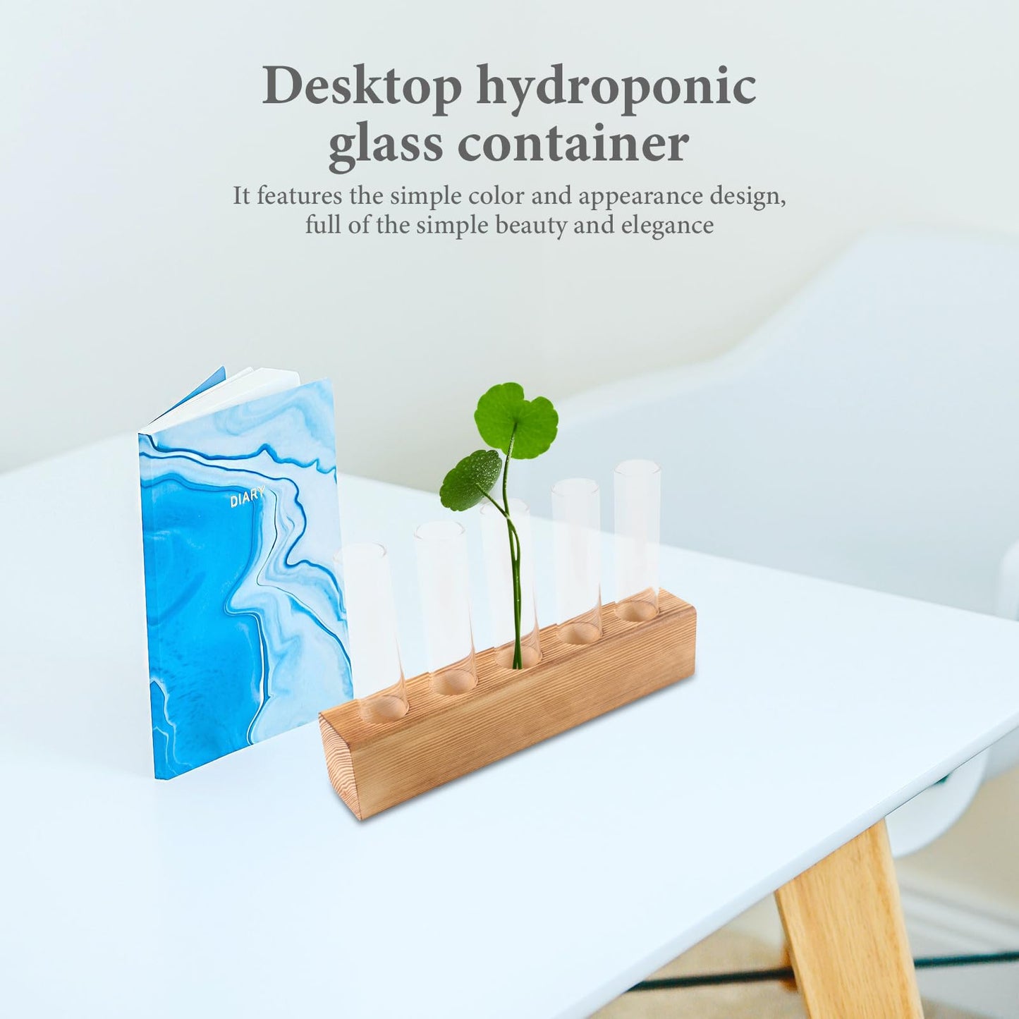CORHAD Hydroponic Plant Terrarium with 5-Hole Glass Vase and Wooden Stand, Desktop Water Planter for Indoor Home Décor and Plant Propagation