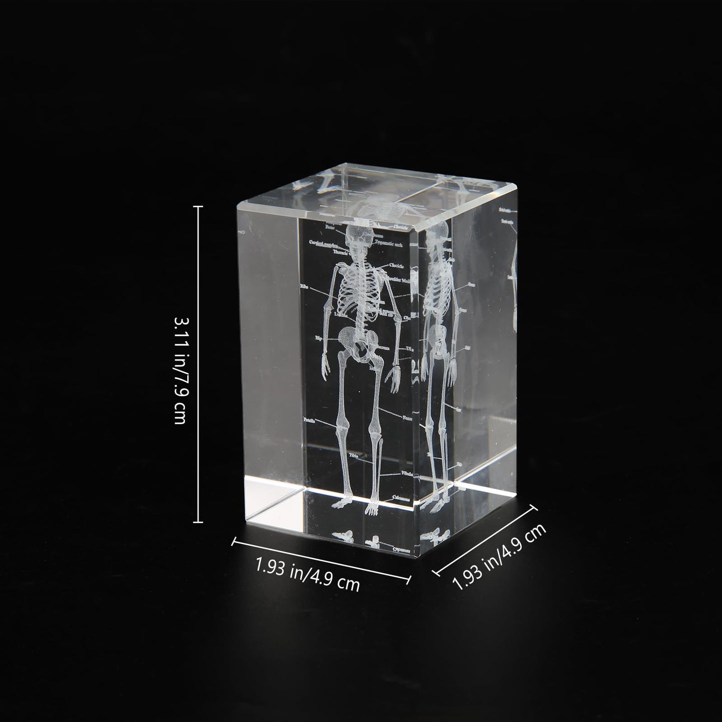 3D Human Skeleton Crystal Model Skeletal Anatomical Model for Home and Office Decoration, Unique Gift for Doctors and Students