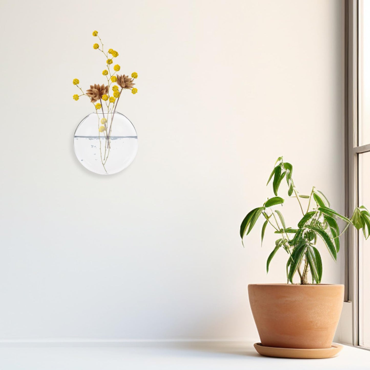 Happyyami 2pcs Wall-Mounted Glass Terrarium Floating Plant Pot Wall Planter for Home Hydroponic Flower Decor Space-Saving Hanging Vase