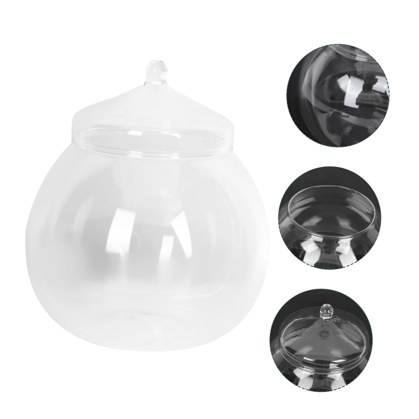 1Set Micro Landscape Bottle for DIY Terrarium Crafts Glass Eco Bottle with Style Lid Indoor Home Decor Creative Plant Display for Moss Miniature