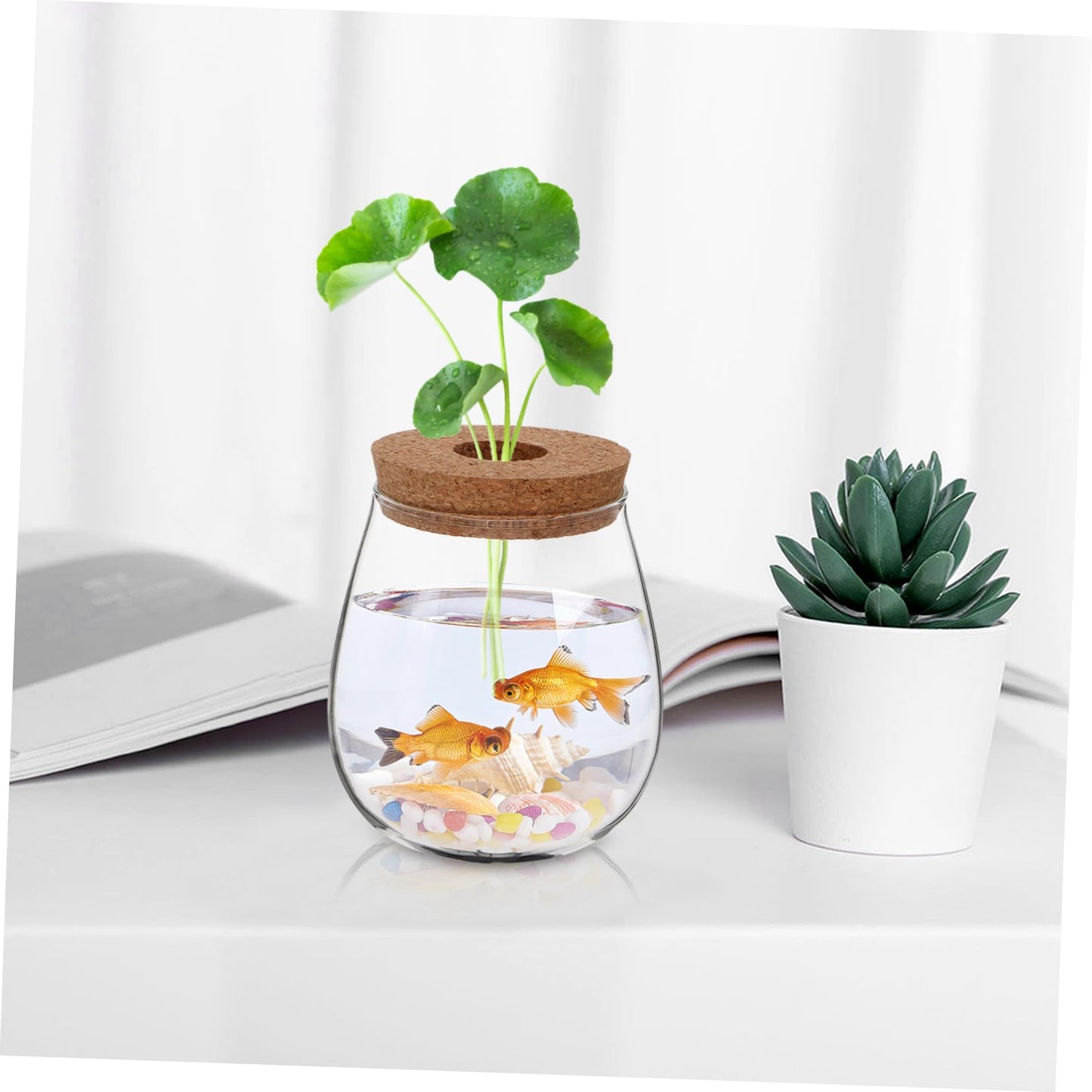 CIYODO Elegant Hydroponic Glass Vase for Indoor Plant Propagation Space Saving Terrarium for Home Decoration Minimal Maintenance Design for Plants