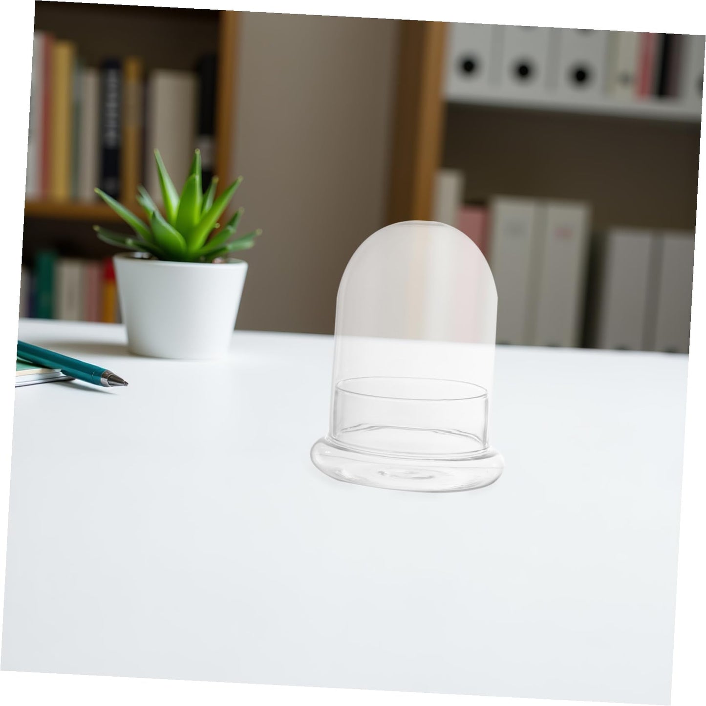 DOITOOL Decorative Glass Terrarium Jar with Ecological Bottle Moss for Home and Office D Cor Clear Glass Cloche Bell Jar for Diy Micro Landscape and Display 6 Inch Height