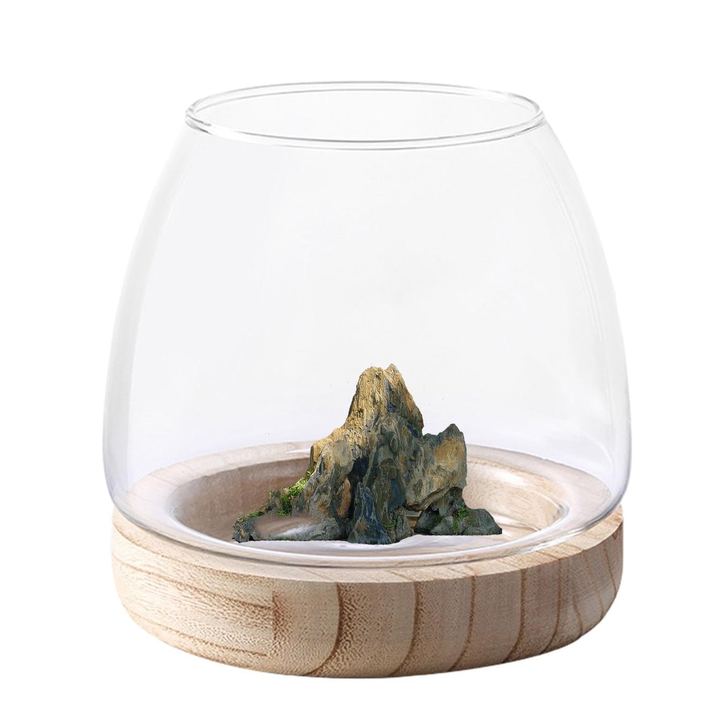 Hydroponic Plant Vase - durablee Transparent Glass Fish Bowl with Wooden Stand, Wide Mouth Terrarium Vase | Comfortable Hydroponic Plant Terrarium, Clear Hydroponic Planter for Home Decoration