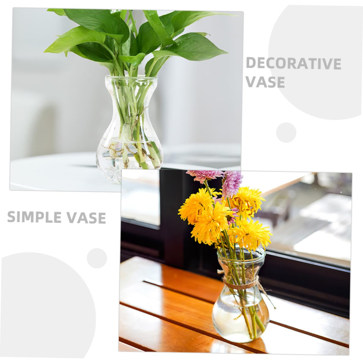 Hemobllo 5Pcs Desktop Glass Planter Decorative Vases for Home Office Unique Terrarium Design for Flower Arrangement Plant Display for Tabletop Shelf Decor
