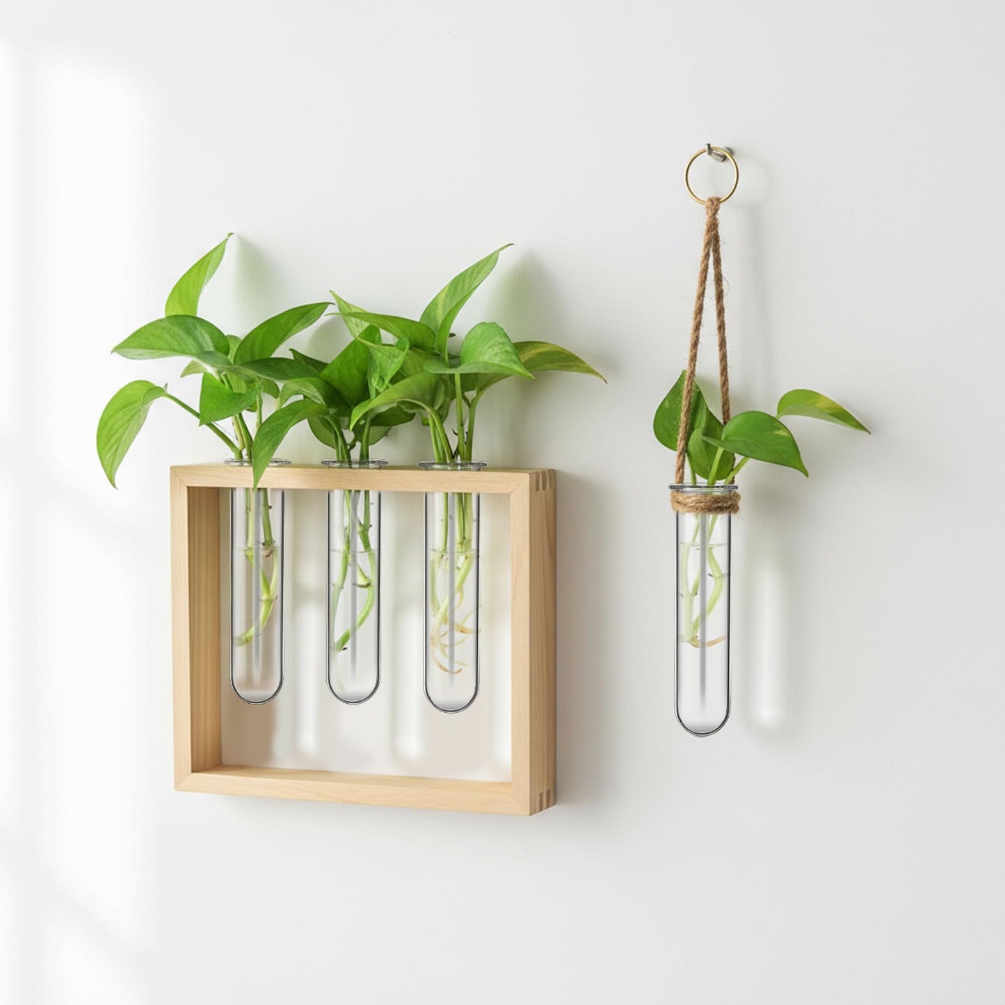 Veemoon Glass Test Tube Vase Propagation Station 5pcs 2.5x3x11cm Hydroponic Plant Terrarium Tubes for Home Decor and Office Display