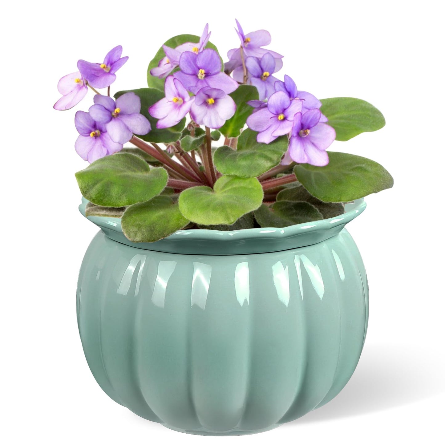 BUYMAX African Violet Pots, 6 inch Pumpkin-Style Ceramic Easy Self Watering Plant Pot for Busy Plant Lovers, Automatically Absorb Appropriate Amount of Water, Flower Pot Indoor-Plants Not Included