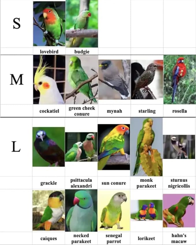 Bird Diaper Harness Flight Suit Clothes, Parrot Flight Suit with Leash, Bird Flying Clothes with Rope and Handle for Outdoor Activities Training (Yellow with Leash,Small)