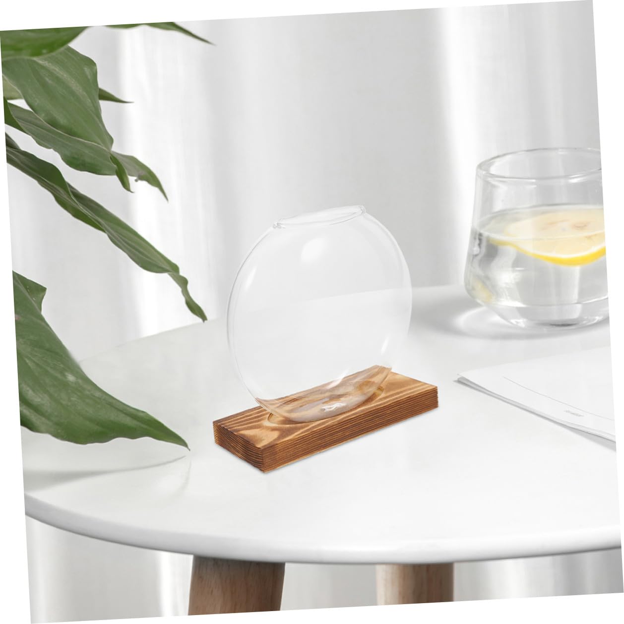 OUNONA 2pcs Hydroponic Propagation Glass Vessels with Wooden Base, Small Containers for Indoor Plants, Desk Terrarium Station for Home and Office Decor