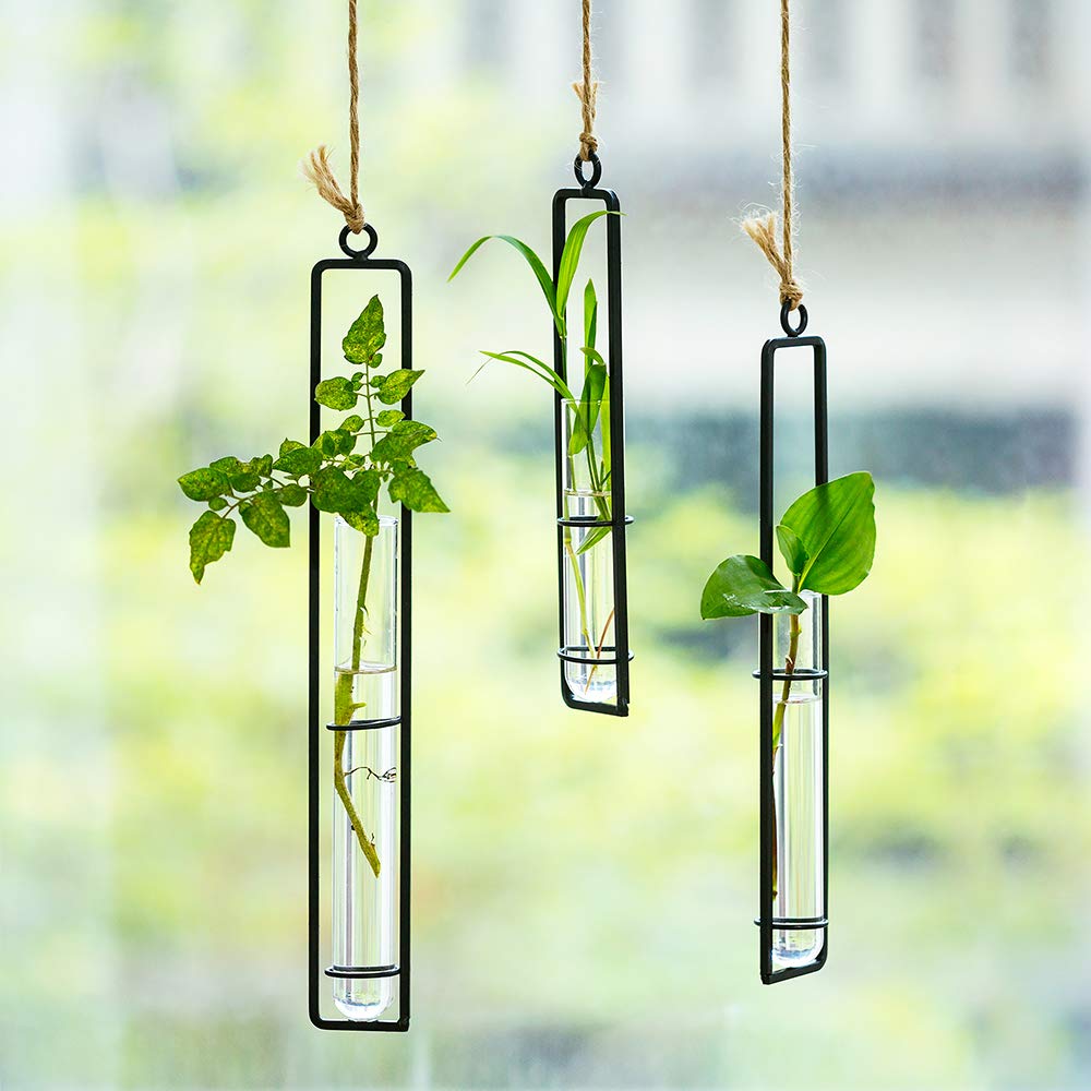 Sziqiqi Glass Propagation Station Test Tube Vases Clear Glass for Cuttings, Buds, Greenery Hydroponic Plant Propagation Home Balcony Bath Wall Decoration Floral Container Set of 3 Black
