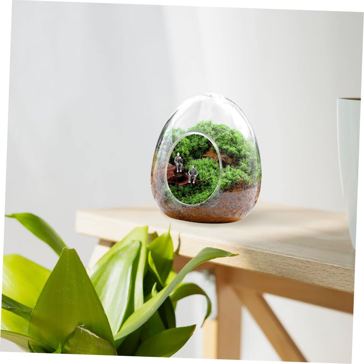 BESPORTBLE Glass Plant Bottle Decorative Micro Landscaping Air Plant Terrarium for Home