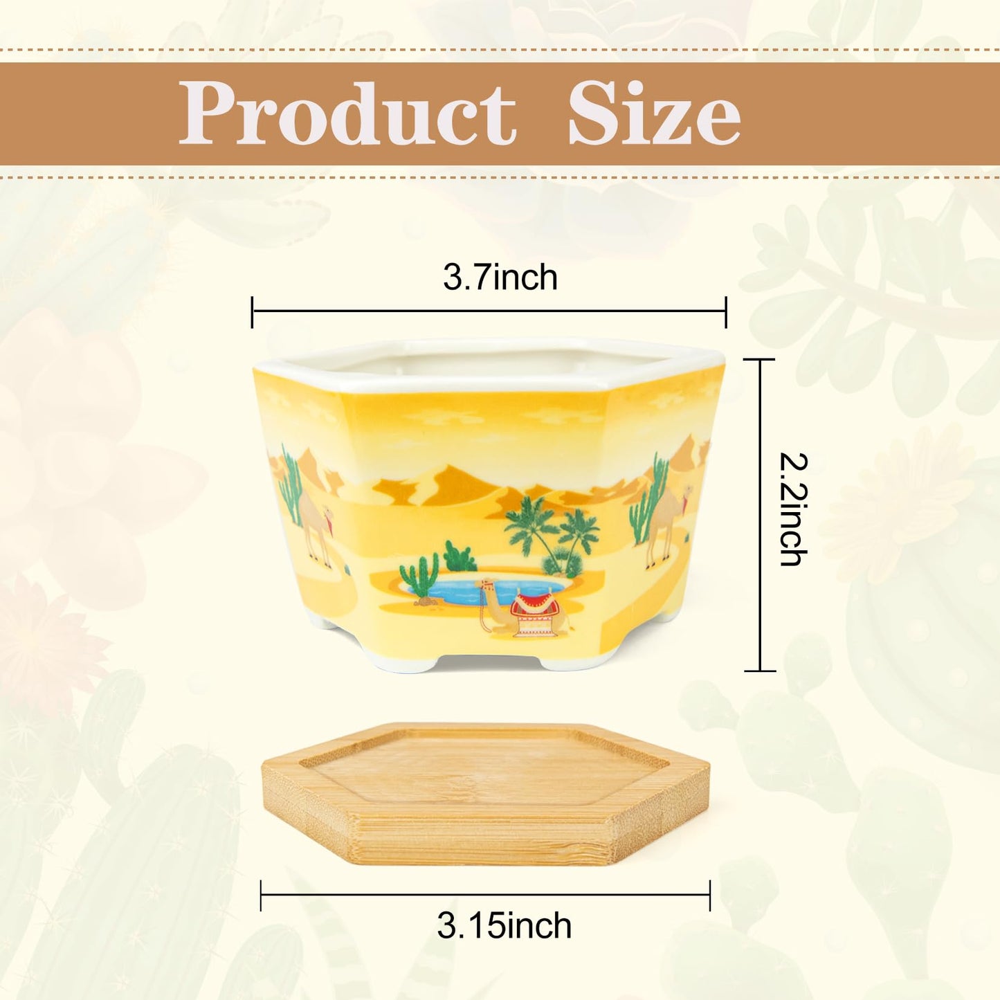 Succulent Pots, 6 Pack Floral Plant Pots with Drainage Tray, 3.7" Small Flower Pots for Indoor Plants, Ceramic Succulent Planters for Cactus, Home Office Decor