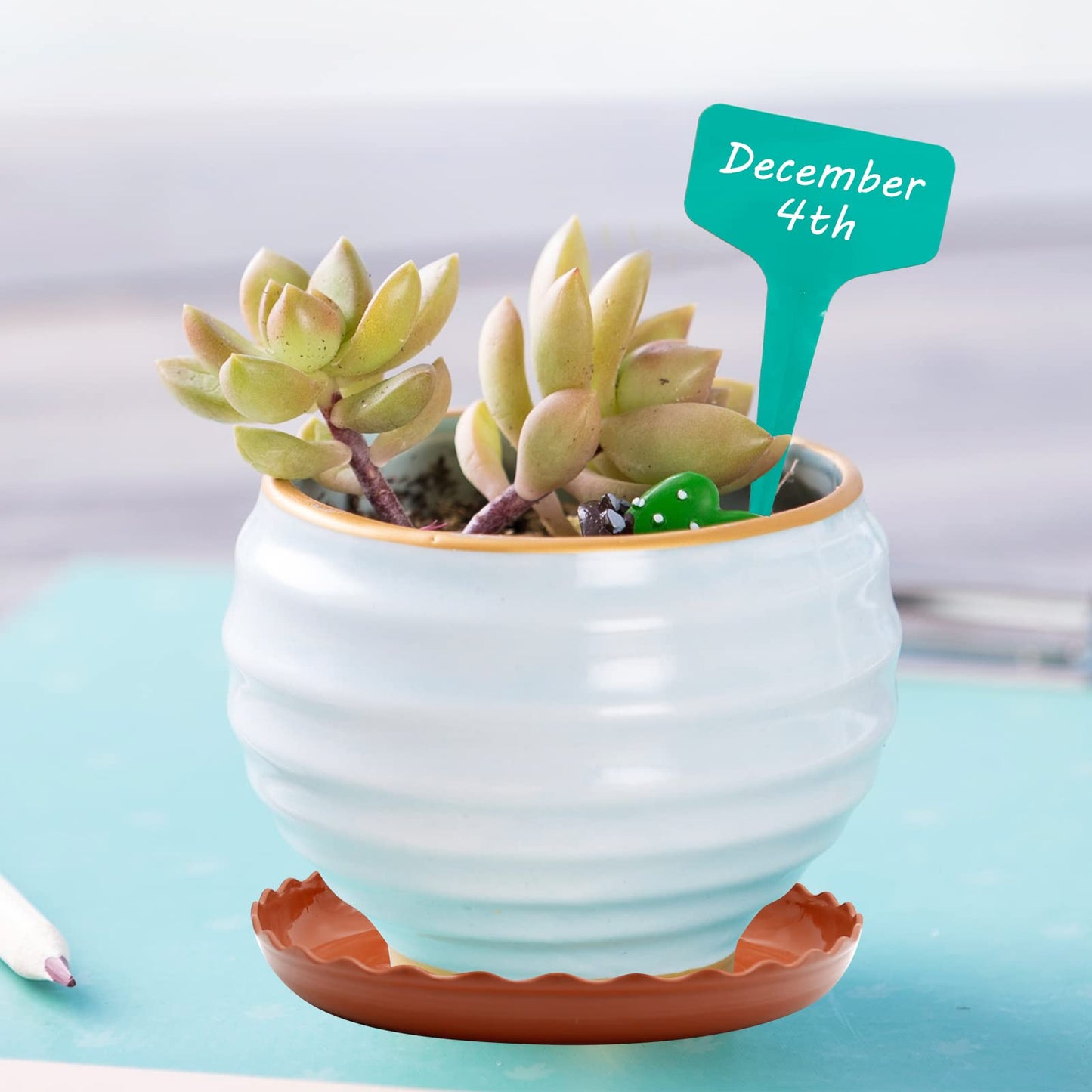 Aynaxcol 12 Pack White Plant Trays 3 Sizes Plastic Round Wave Plant Saucer Flower Plant Pot Saucer Terracotta Drip Trays for Indoor Outdoor Flower Pots and Planters, with 20pcs Green Plant Labels