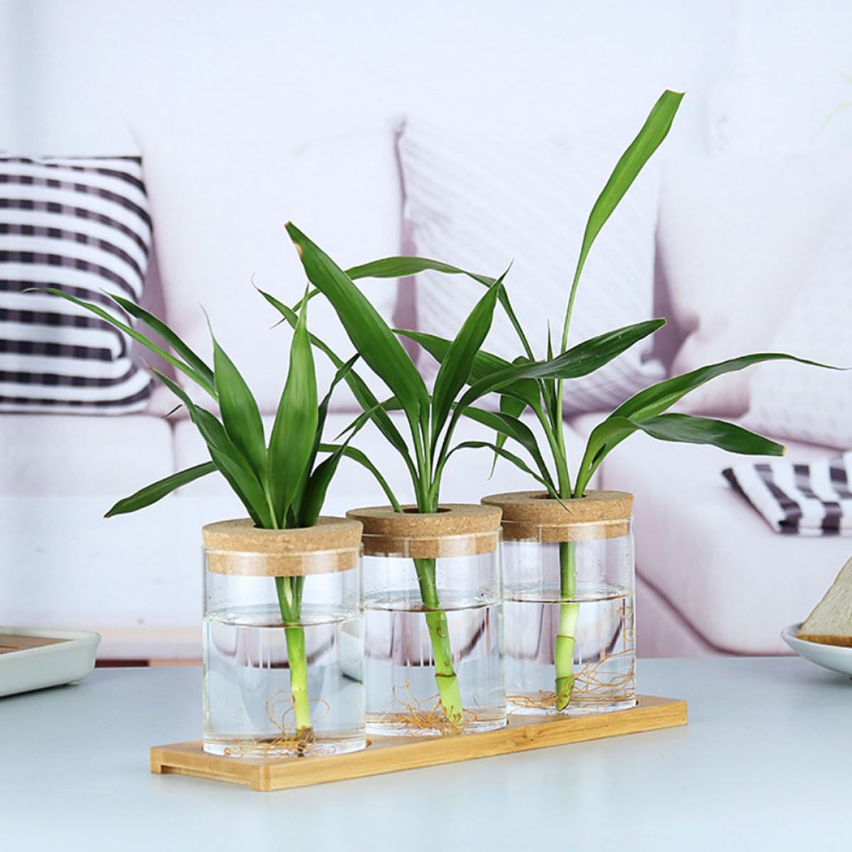 SOLUSTRE 2pcs Glass Flower Vases Hydroponic Plant Pots with Perforated Cork Stoppers 6.5cm X 10cm Indoor Home Decor Moss Terrarium Bottles for Succulent Arrangement