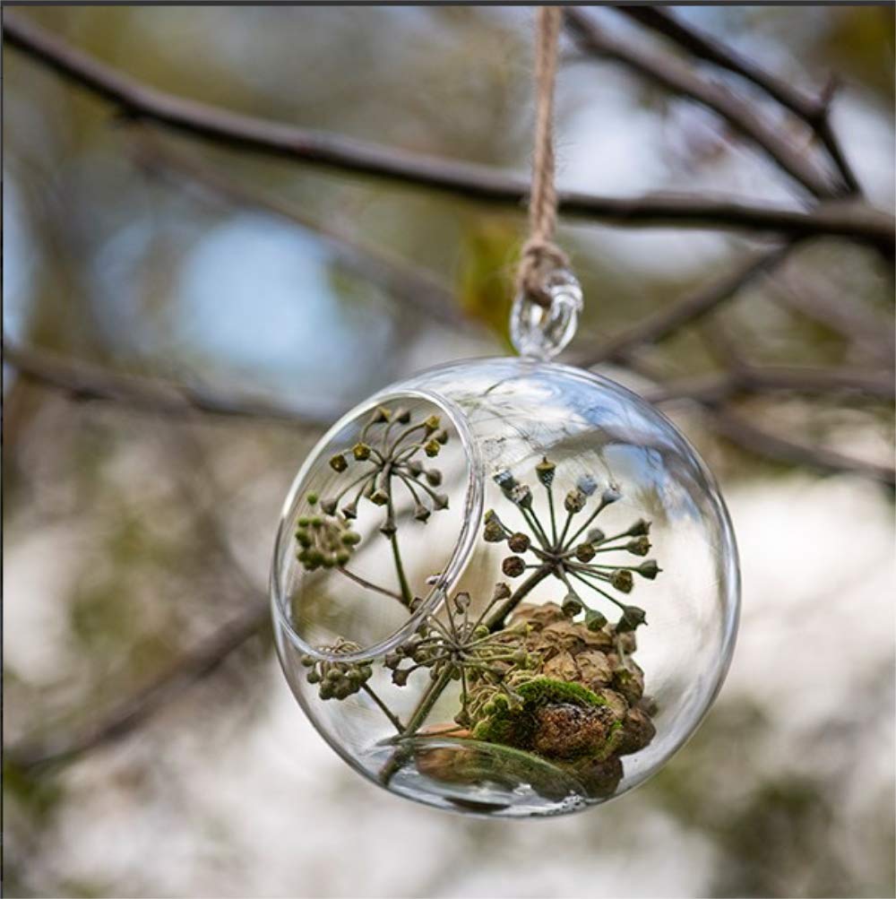 Ecosides Set of 100 Hanging Glass Orbs Hanging Glass Globe Terrariums Without 2 Side Hole for Candle Holder, TeaLight Holder Candlestick for Wedding Decor