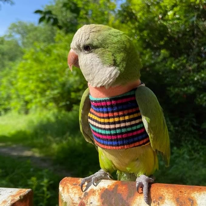 Bird Clothes - Handmade Cotton Stripe Shirt Round Collar Sweater Flight Suit for Parrots African Greys Parakeet Cockatiel Sun Conure Christmas Halloween (with Diaper,XL)