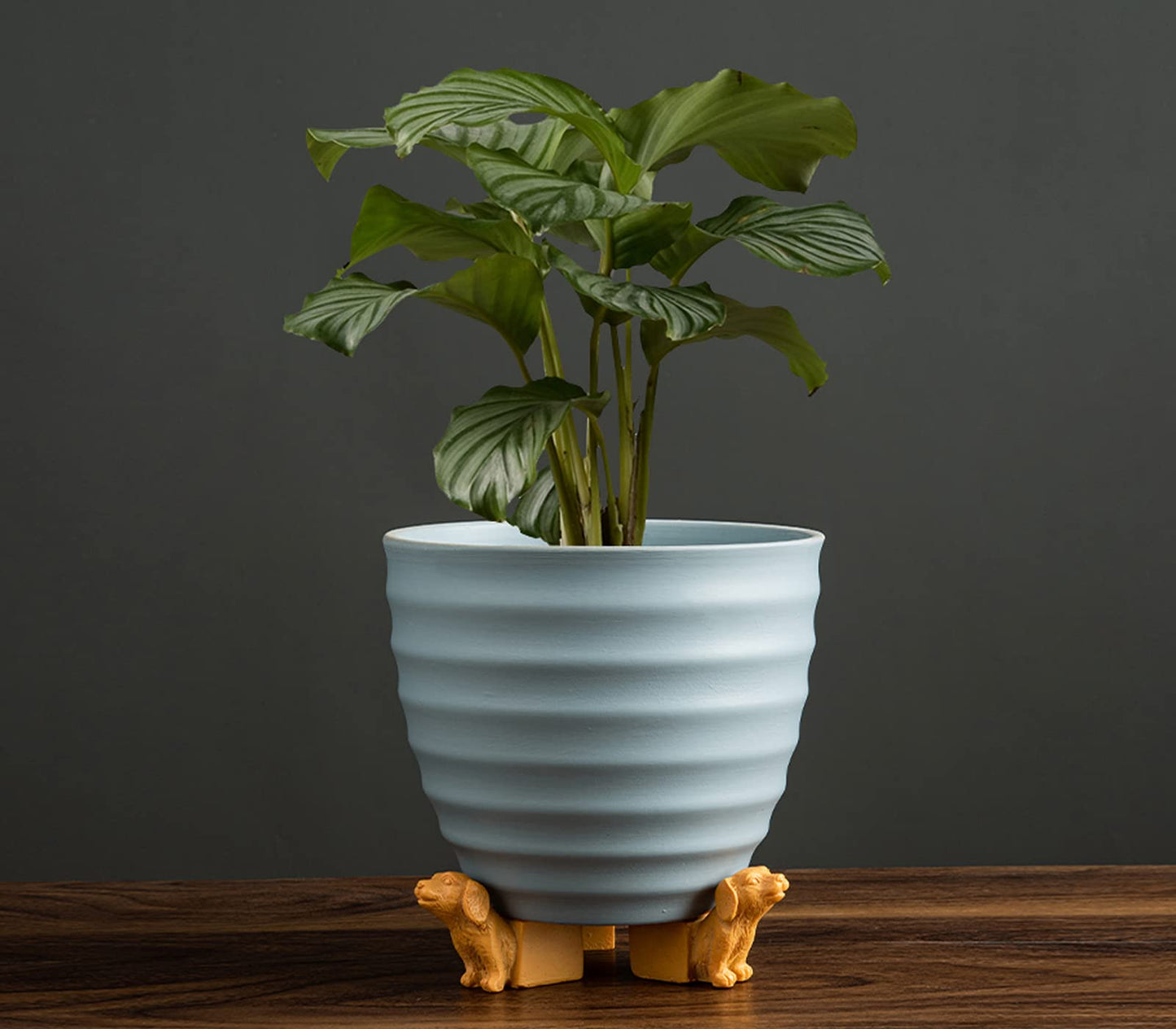 dgudgu Dog Head Shaped Planter Feet for Indoor and Outdoor Pots - Risers to Improve Airflow, Drainage - Decorative Elevator for Planters