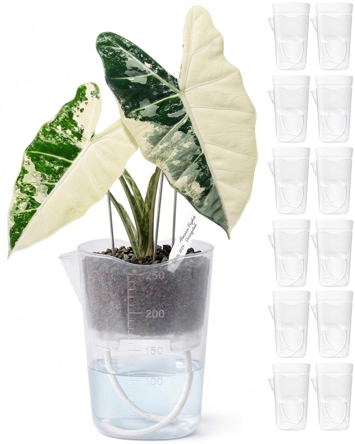 12 Pack 2.5" Small Self Watering Pots for Indoor Plants, Mini Clear Plastic Planters with Water Level & Drainage Holes, 12 Plant Labels, Semi-Hydro Propagation Pots for Succulents, African Violets