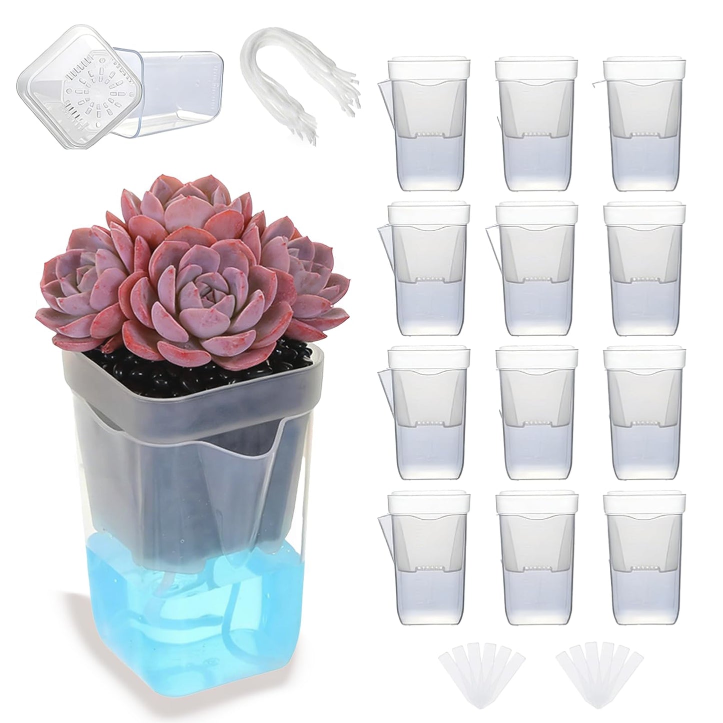 NUSQO Self Watering Pots for Indoor Plants, 12 Pack 2 Inch Mini Clear Plastic Planters with Water Level Indicator, Drainage Holes and Plant Labels for African Violet and Alocasia Corm Propagation