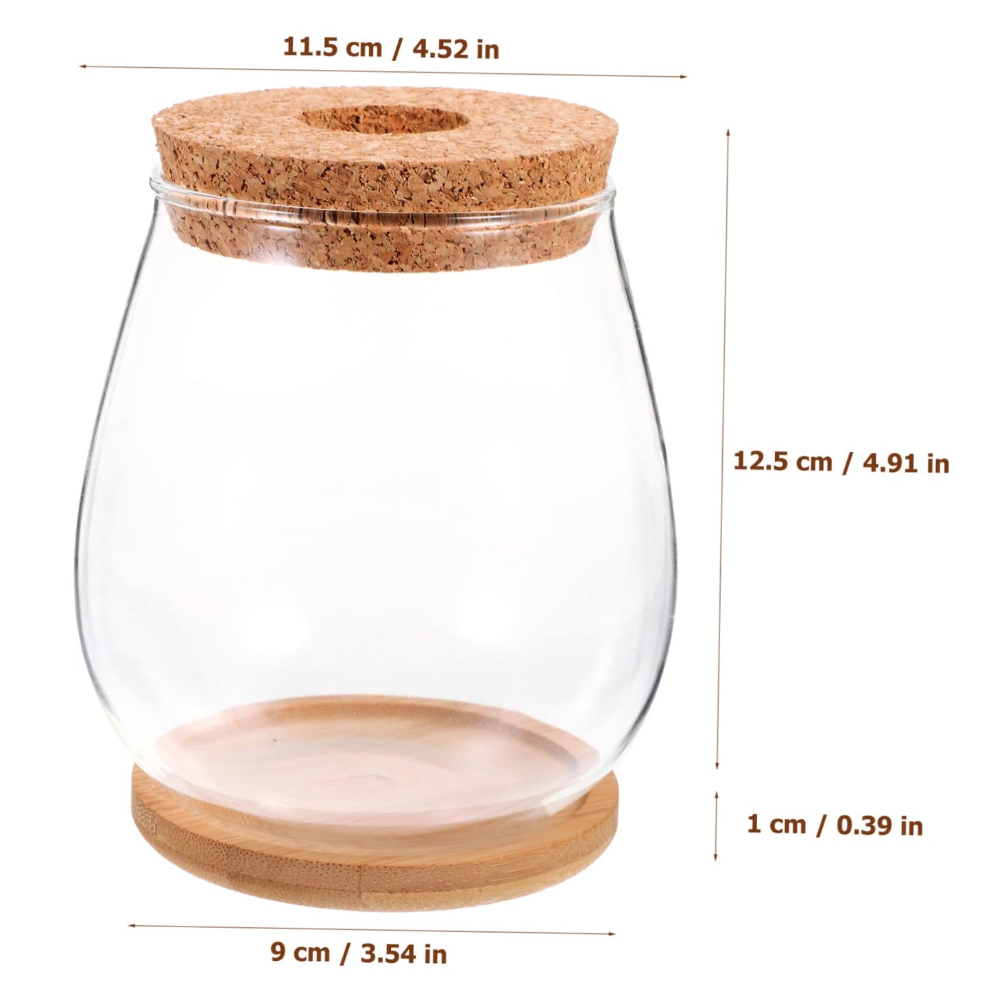 GANAZONO 1set Delicate Glass Terrarium Planter Bamboo Tray Hydroponic Landscape Bottle for Indoor Plants Compact Micro Ecosystem Decor for Home and Office
