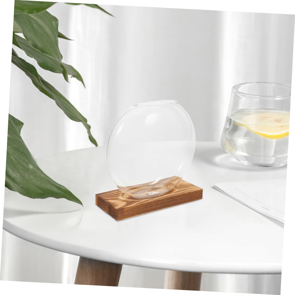 LALADEFIEE 2pcs Hydroponic Glass Vases with Wooden Stand, Indoor Plant Propagation Station for Greenery Terrarium, Decorative Flower Pots for Home Office Window Sill