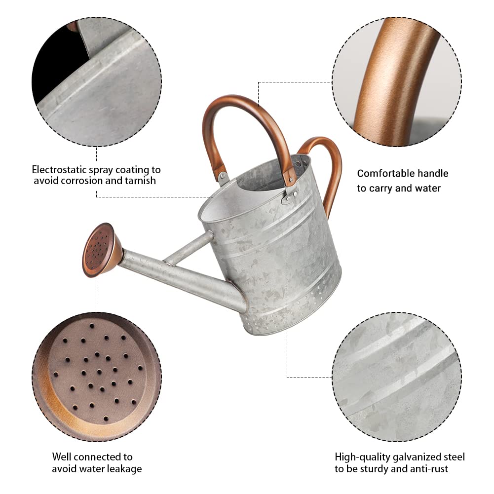 Megawodar 1 Gallon Metal Watering Can with Removable Spout, Nice Galvanized Steel Water Can with Embossed Design for Indoor and Outdoor Plants