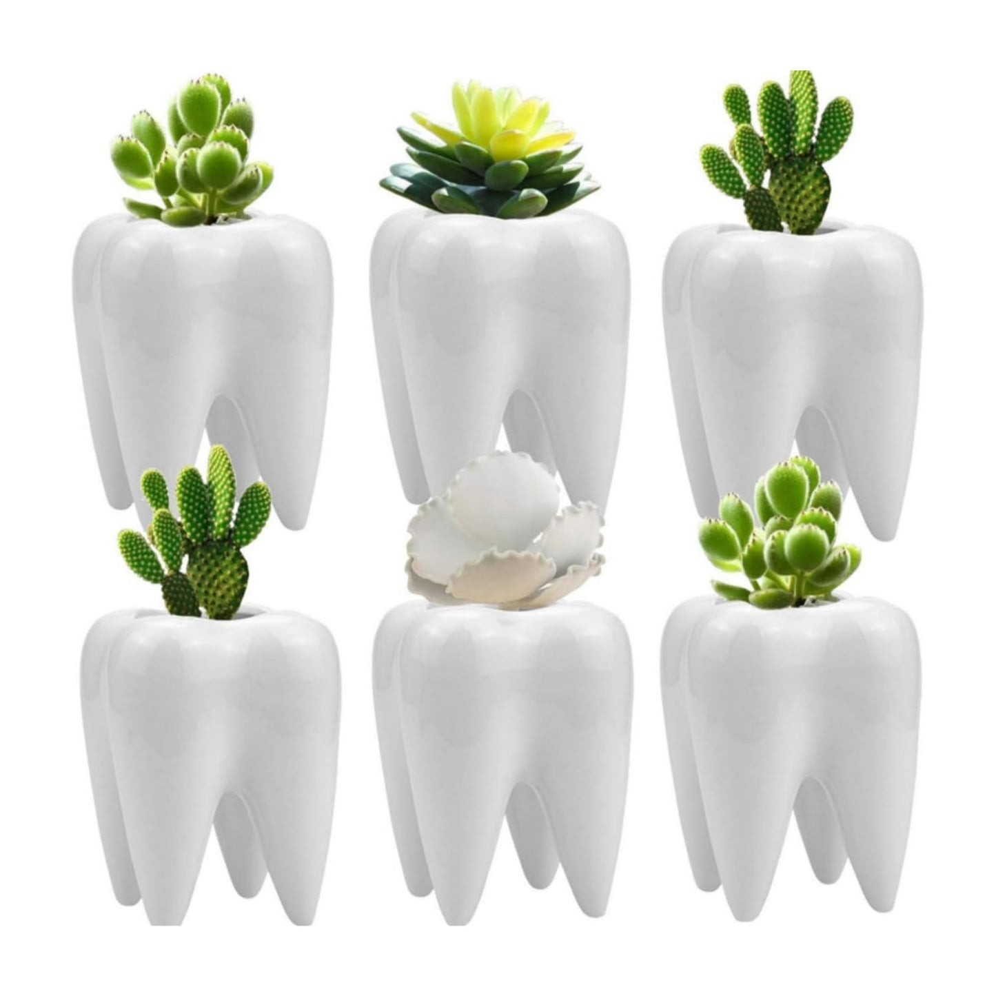 LECMACY Cute Tooth Shaped White Ceramic Planter Pots Flower Plant Containers, Mini Ceramic Succulent Planter Pots, Creative Pen Pencil Holder for Office Home Desk Decor, Plants Not Included (6 Pcs)