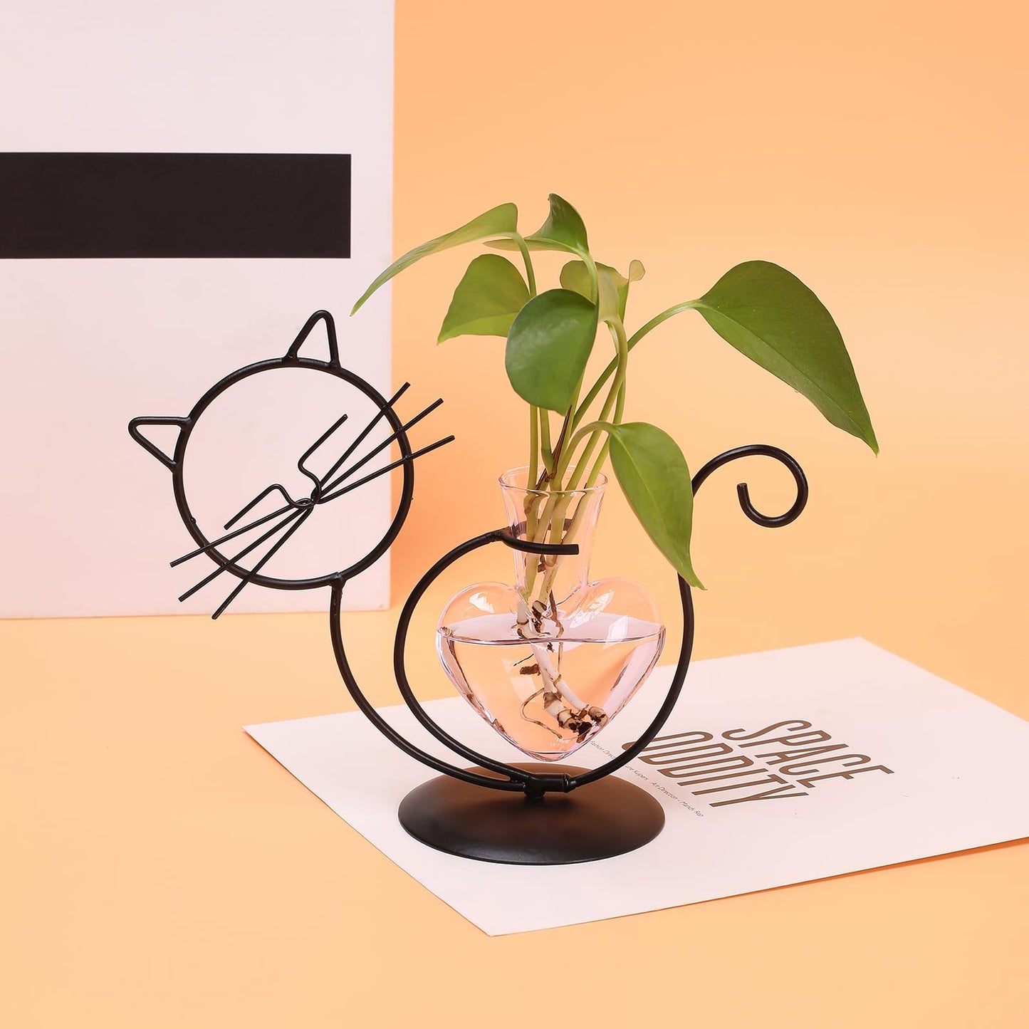 Plant Terrarium Plants Propagation Station Cat Lover Gifts for Women Home Office Decor Cat Desk Accessories