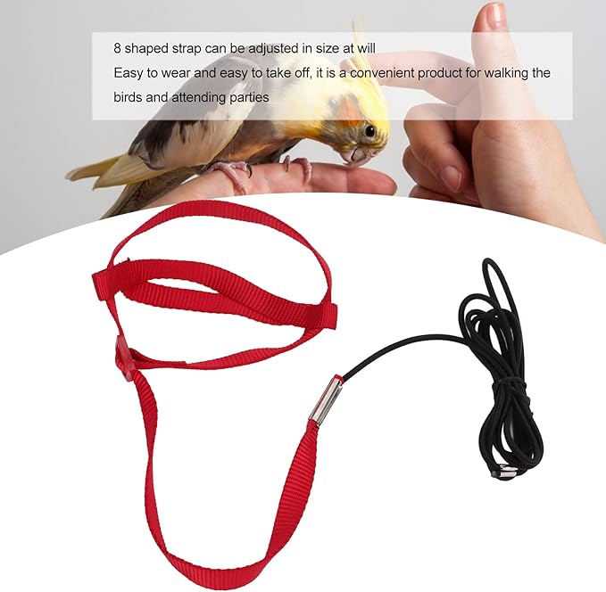 Elastic Parrot Harness Leash Bird Leash Bite Proof Harness Adjustable Parrot Flying Training Rope with Metal Hook Nylon Webbing for Cockatiels Walking (S)