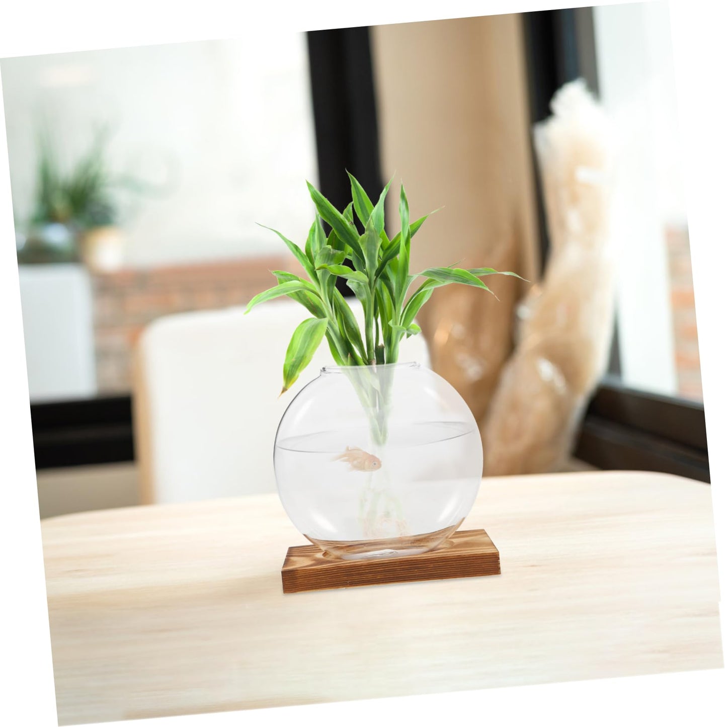 ANDRESLAD Hydroponic Vase with Wooden Base Transparent Glass Plant Propagation Station for Indoor Plants Terrarium Small Desktop Planter Root Observation Decorative Home Decor